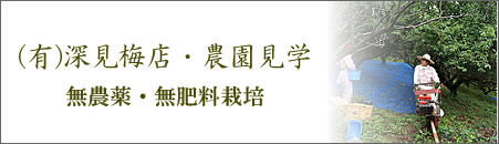 紀州南高梅干通販専門店　無農薬,無肥料栽培の農園